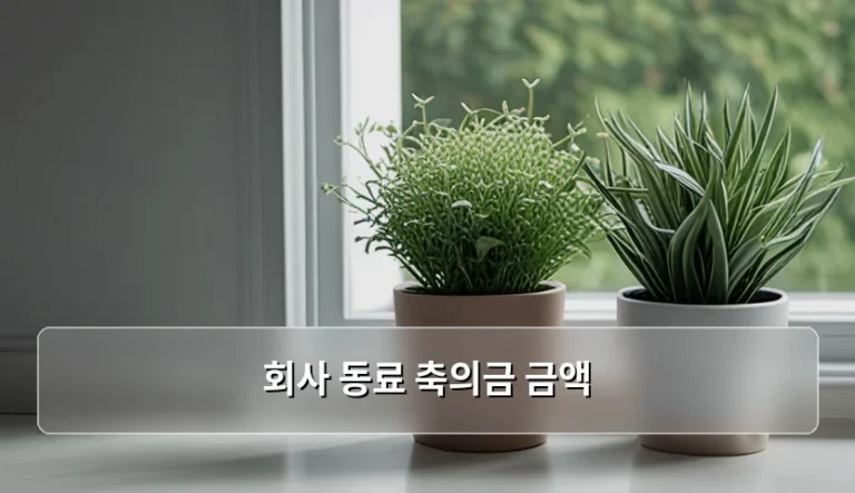 회사 동료 축의금 금액 결정하는 기준과 매너 가이드