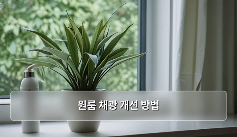 원룸 채광 개선 방법과 정신 건강 관리 가이드