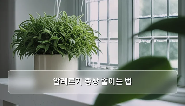 알레르기 증상 줄이는 법과 실생활 환경 개선 가이드