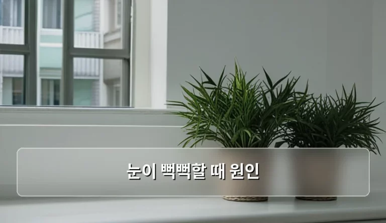 눈이 뻑뻑할 때 원인과 상황별 맞춤 해결책