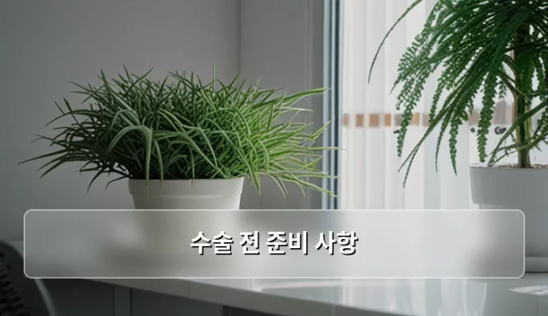 수술 전 준비 사항과 주의점 완벽 가이드