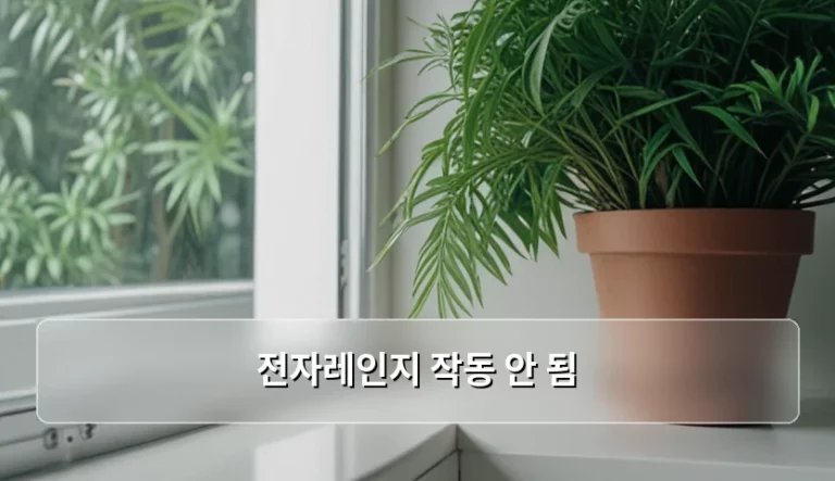 전자레인지 작동 안 됨 원인과 안전한 대처 방법