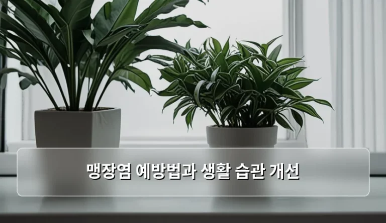 맹장염 예방법과 생활 습관 개선을 위한 실천 가이드