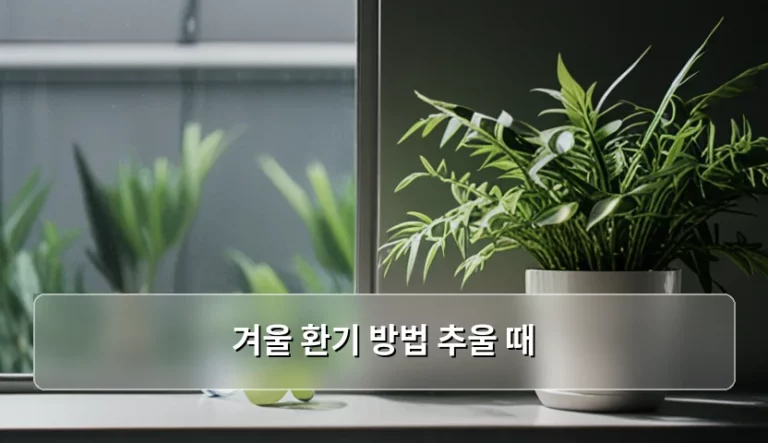 추운 날씨에도 건강하게 공기 바꾸는 겨울 환기 방법 추울 때 가이드