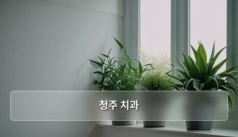 청주 치과 선택 기준과 진료 과목별 주의사항 가이드