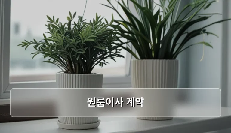 원룸이사 계약 시 주의사항과 보증금 보호 방법