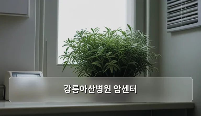 강릉아산병원 암센터 다학제 진료와 치료 과정 안내