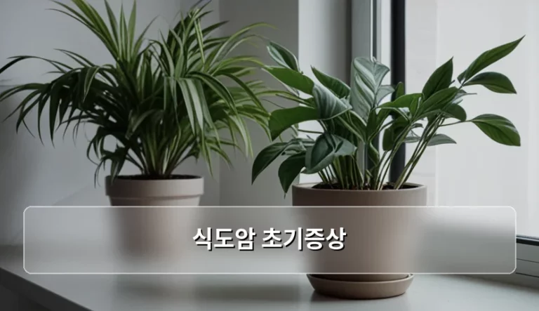 식도암 초기증상 알아채는 법과 정밀 검사 가이드