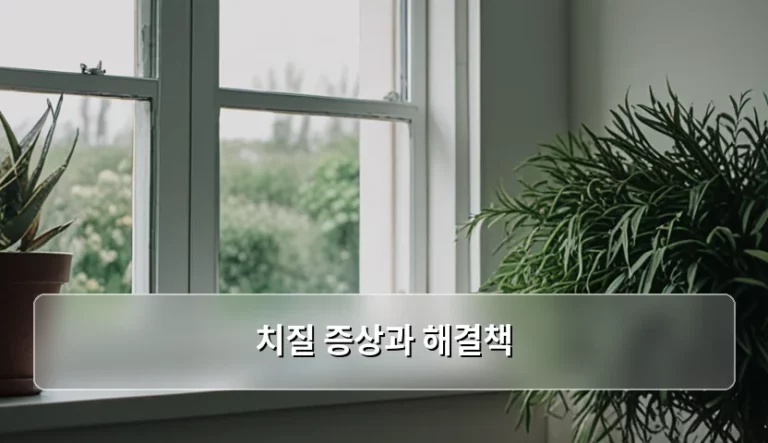 말 못 할 고민 치질 증상과 해결책 완벽 가이드