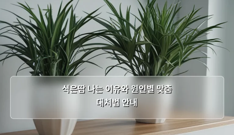 식은땀 나는 이유와 원인별 맞춤 대처법 안내