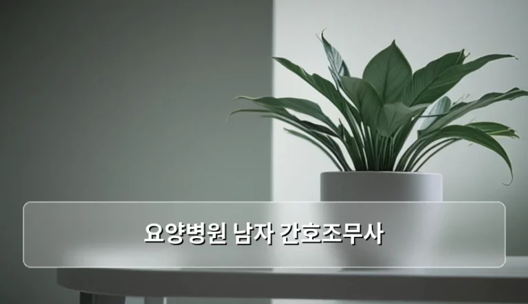요양병원 남자 간호조무사 취업 전망과 현실적인 업무 강도