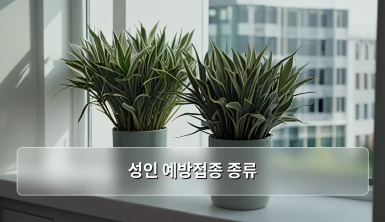 성인 예방접종 종류와 연령별 맞춤 관리 방법
