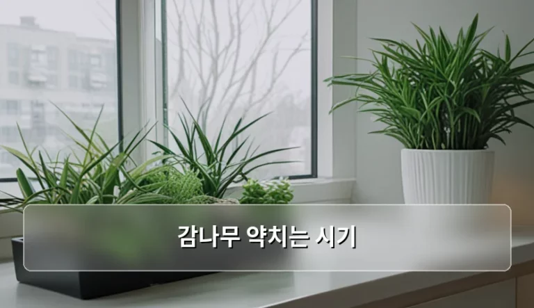감나무 약치는 시기 및 단계별 방제 가이드