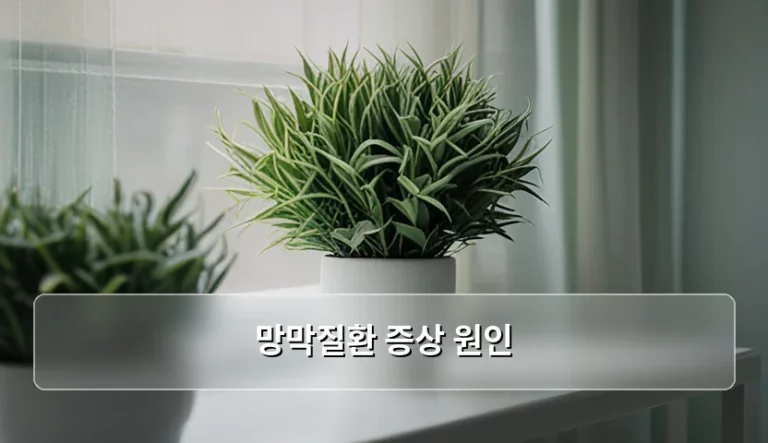 망막질환 증상 원인 및 조기 발견을 위한 관리 방법