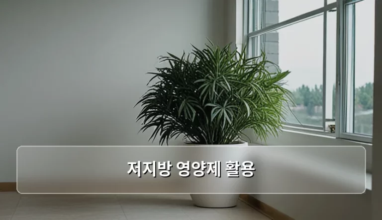 저지방 영양제 활용 방법과 주의사항 가이드