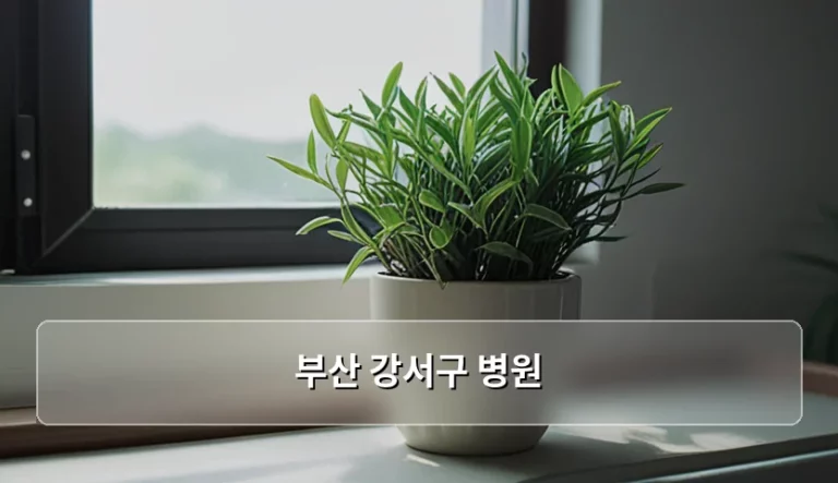 부산 강서구 병원 선택 가이드 및 진료비 정보