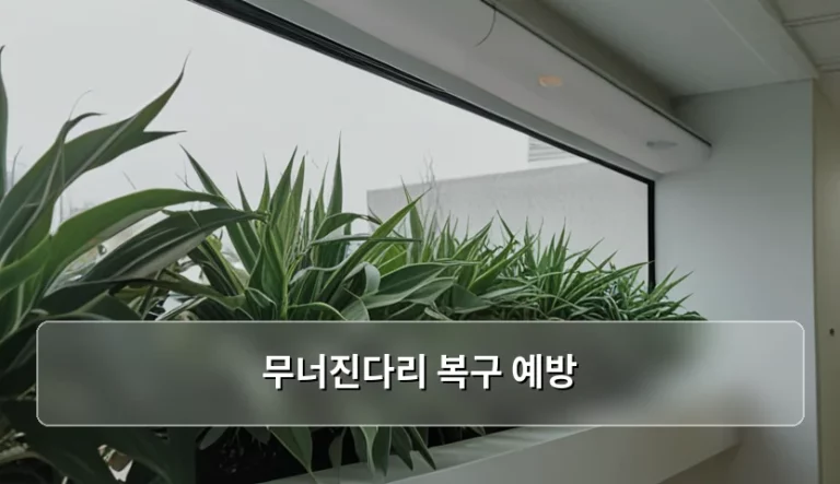 무너진다리 복구 예방 및 노후 교량 안전 관리 수칙