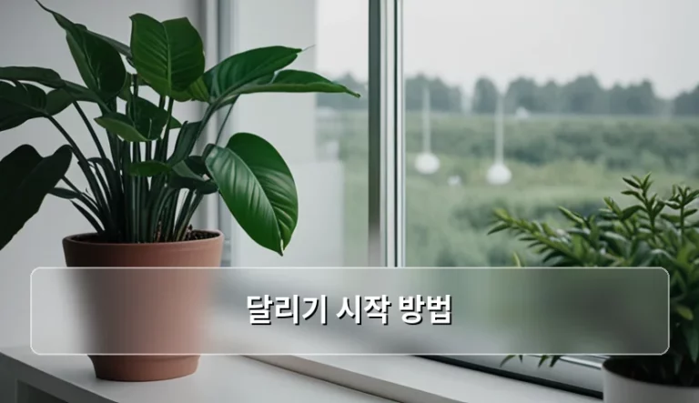 건강을 되찾는 초보자 맞춤 달리기 시작 방법