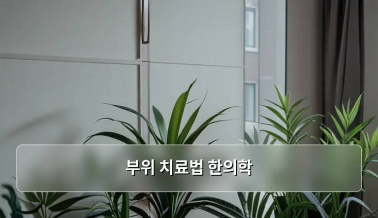 부위별 통증 완화를 위한 한의학 치료법 가이드