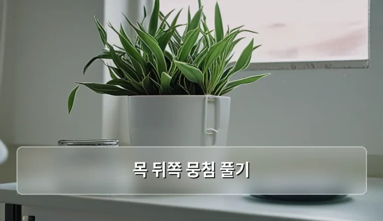 목 뒤쪽 뭉침 풀기 위한 실전 방법과 스트레칭 가이드