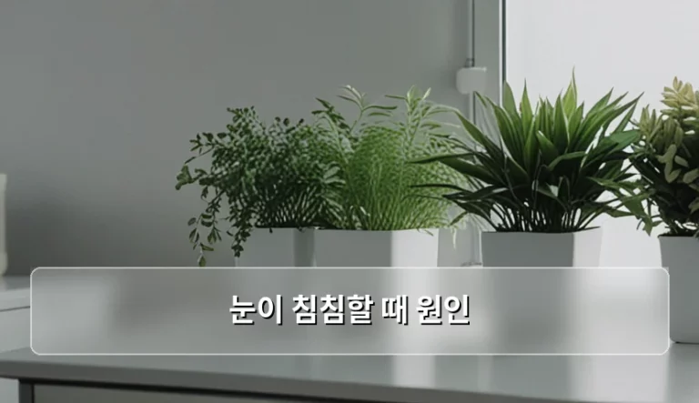 눈이 침침할 때 원인과 상황별 관리 방법