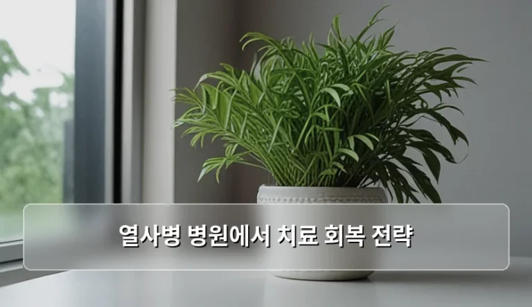 열사병 병원에서 치료 회복 전략 및 단계별 주의사항
