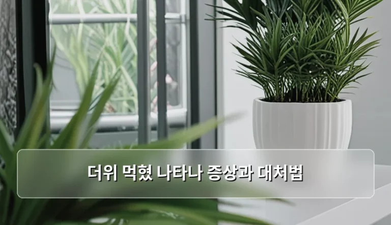 폭염 속 더위 먹혔 나타나 증상과 대처법 및 예방 수칙