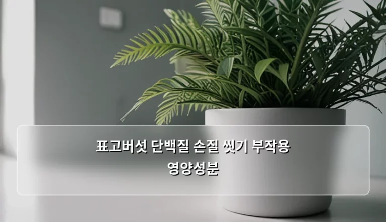 표고버섯 단백질 영양성분 및 올바른 손질 씻기 부작용 가이드