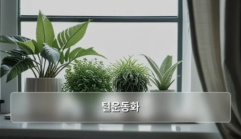 겨울철 발 건강을 위한 털운동화 선택과 관리법