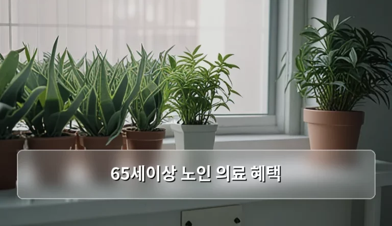 65세이상 노인 의료 혜택 종류와 신청 방법 가이드
