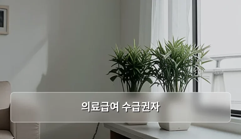 의료급여 수급권자 자격 기준 및 혜택 이용 방법 안내