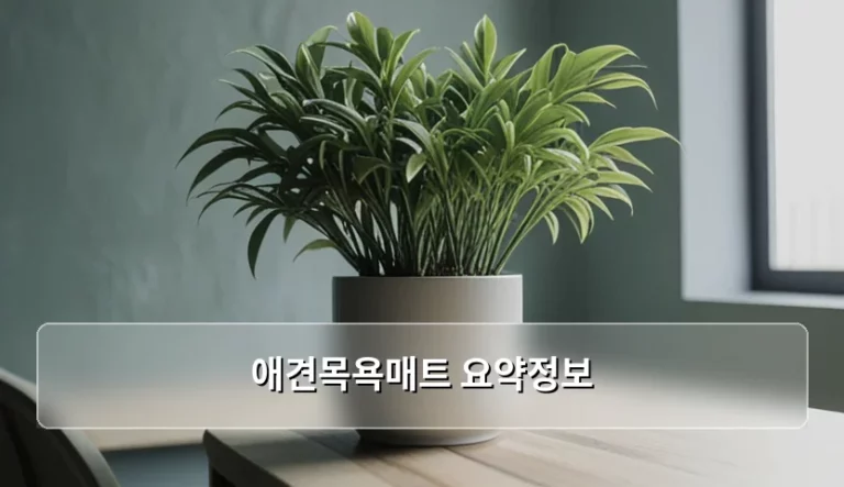 반려견 관절 보호를 위한 애견목욕매트 요약정보 및 선택 가이드