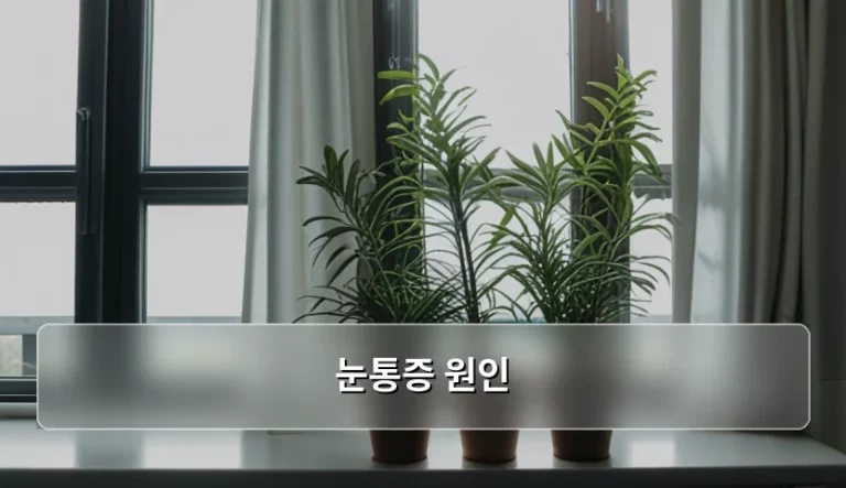눈통증 원인별 증상과 상황별 대처 방법