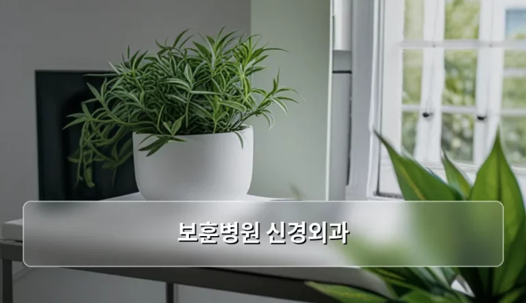 보훈병원 신경외과 진료 절차와 국가유공자 혜택 가이드