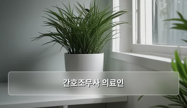 간호조무사 의료인 법적 지위와 업무 범위 및 자격 취득 가이드