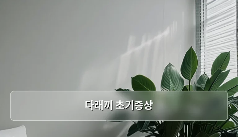 다래끼 초기증상 특징과 단계별 관리 방법