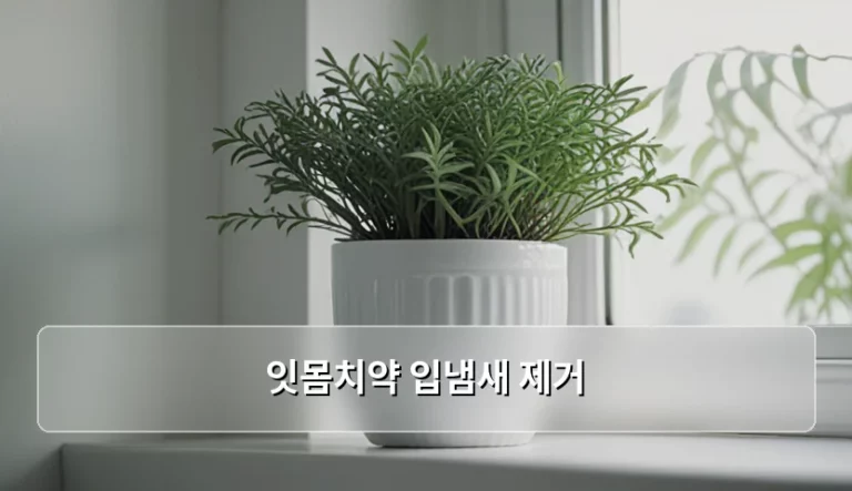 잇몸치약 입냄새 제거 원리와 올바른 선택 방법