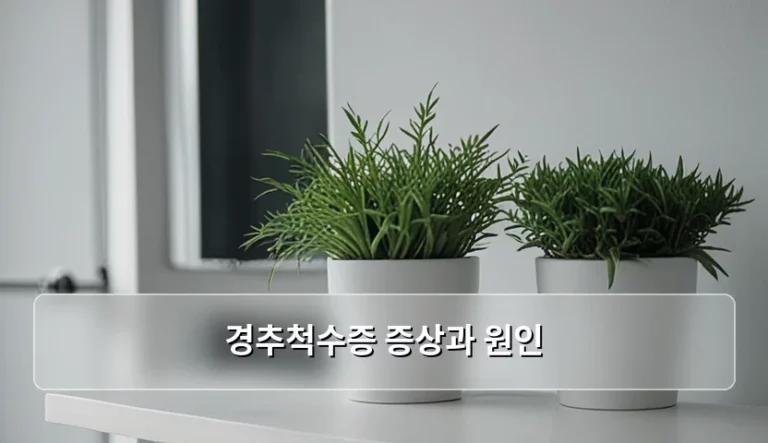 경추척수증 증상과 원인 및 조기 진단 가이드