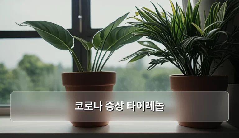 코로나 증상 타이레놀 복용법과 주의사항 가이드