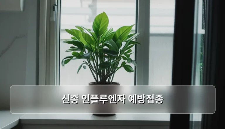 신종 인플루엔자 예방접종 시기와 주의사항 가이드