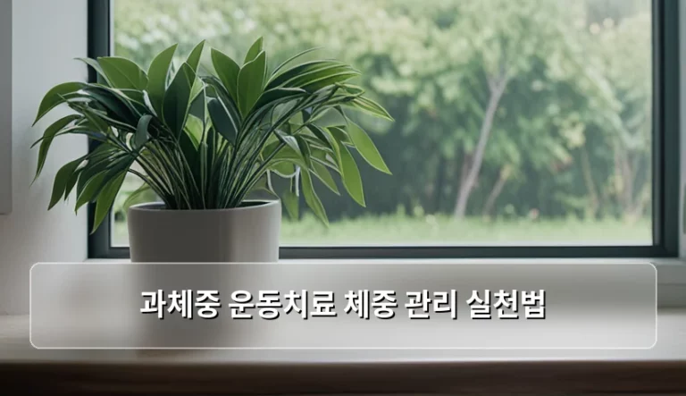 과체중 운동치료 체중 관리 실천법과 건강한 감량 가이드