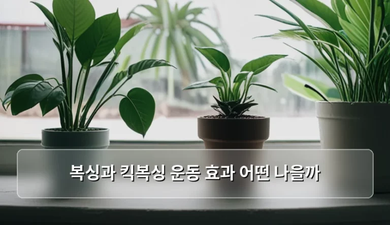 복싱과 킥복싱 운동 효과 비교 및 나에게 맞는 선택 가이드