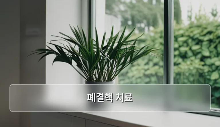 폐결핵 치료 기간과 약물 복용 주의사항 가이드