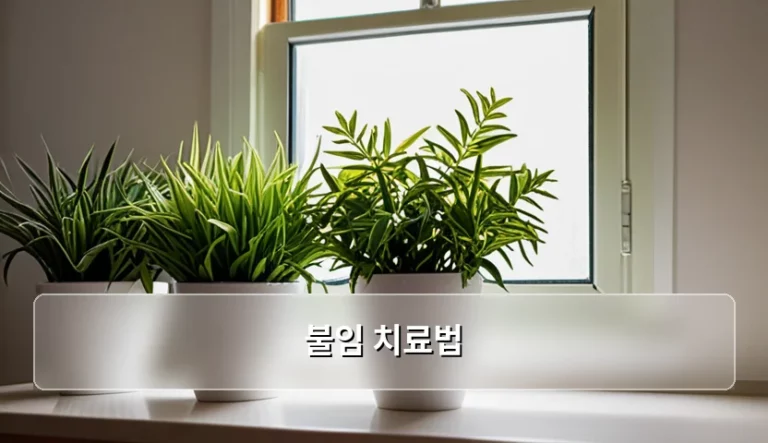 아이를 기다리는 부부를 위한 불임 치료법과 비용 가이드