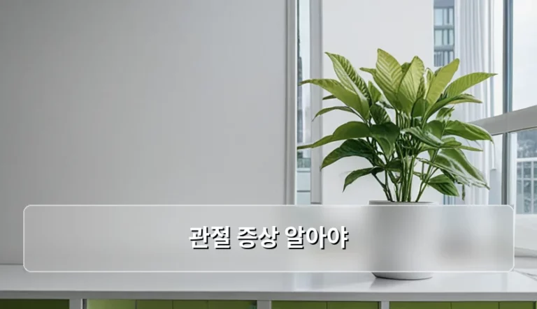 관절 증상 알아야 할 초기 신호와 관리 방법 정리