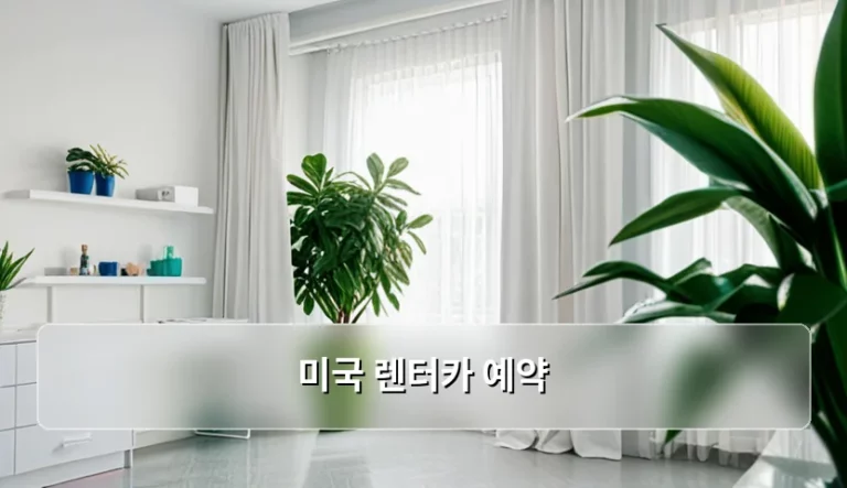 미국 렌터카 예약 방법과 주의사항 가이드