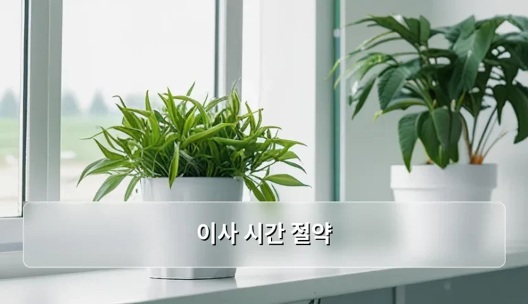 이사 시간 절약 방법과 신체 건강 관리 가이드