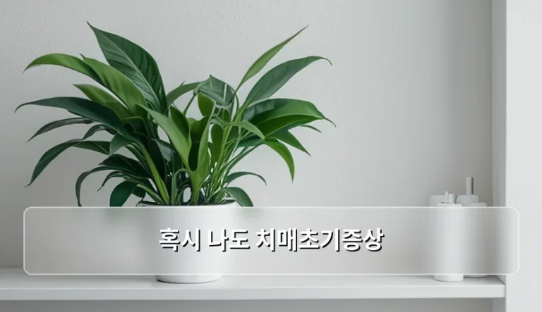 혹시 나도 치매초기증상 구별법과 조기 진단 가이드