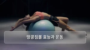 땅콩짐볼 효능과 운동 방법 및 주의사항 가이드