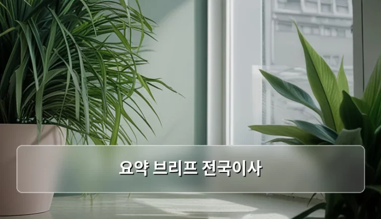 전국이사 비용 산정과 업체 선정 주의사항 안내